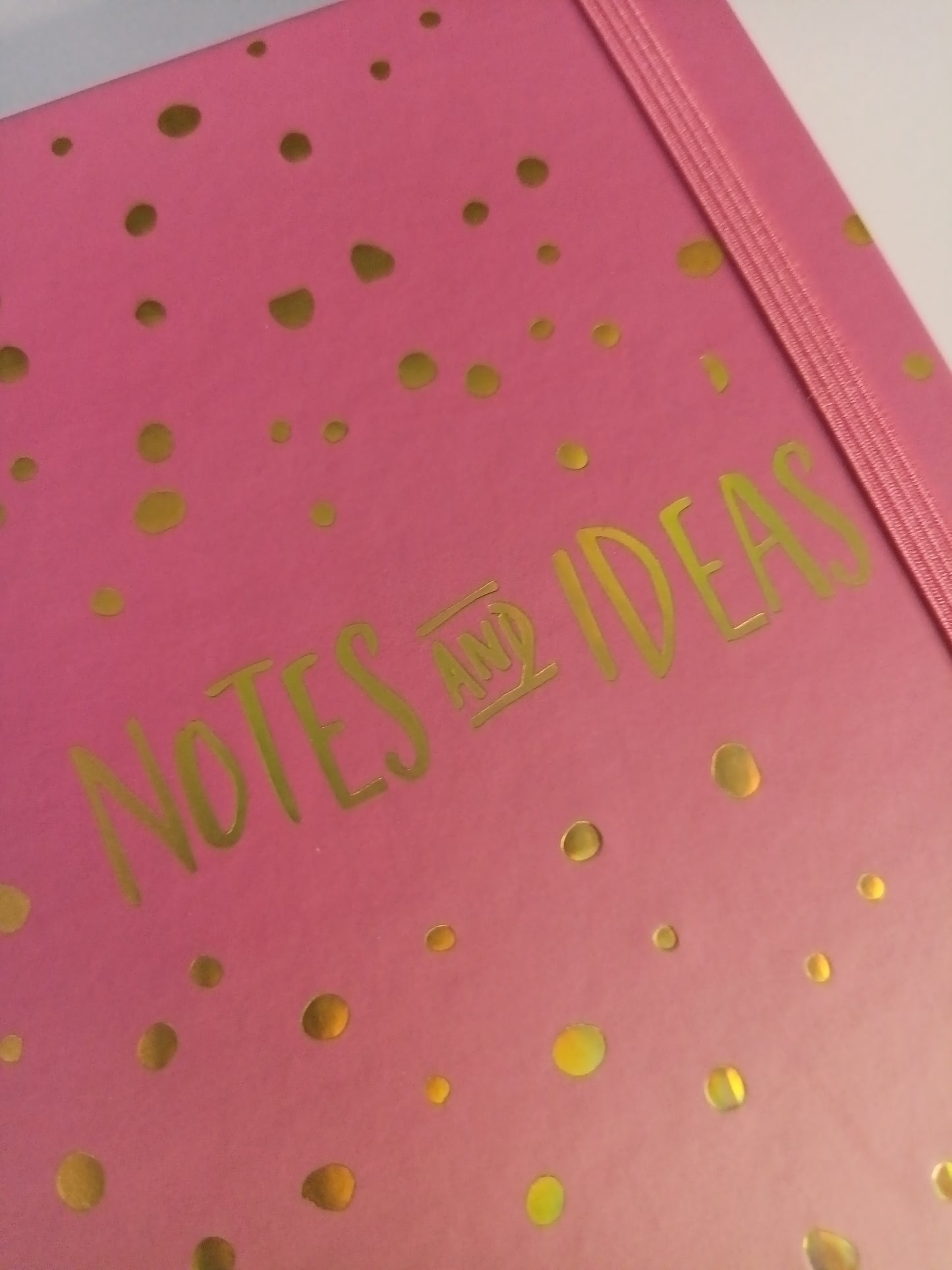 "Notes and Ideas" Diary Bundles (2 diaries 1 pen)