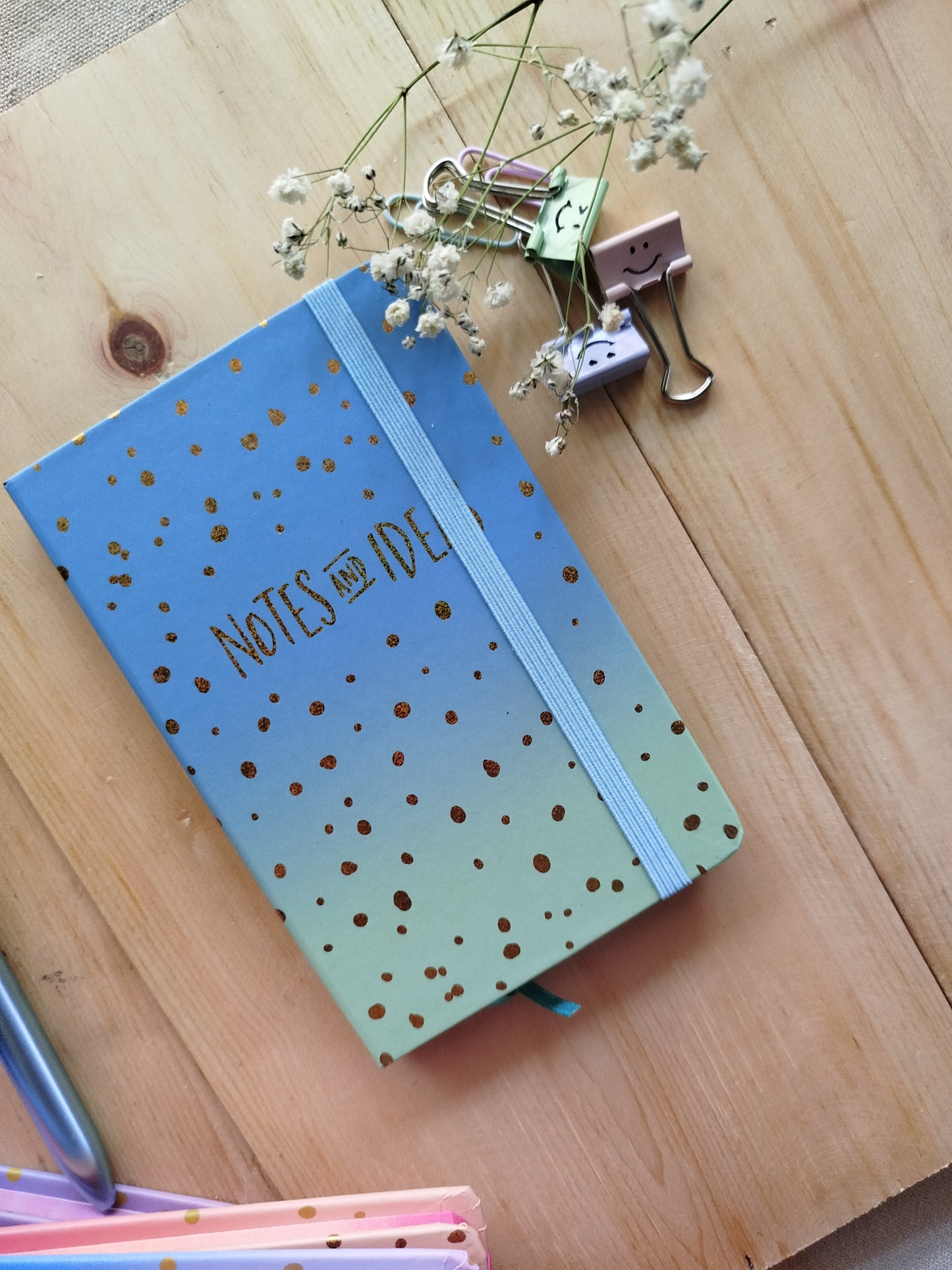 Notes and Idea Notebook A6