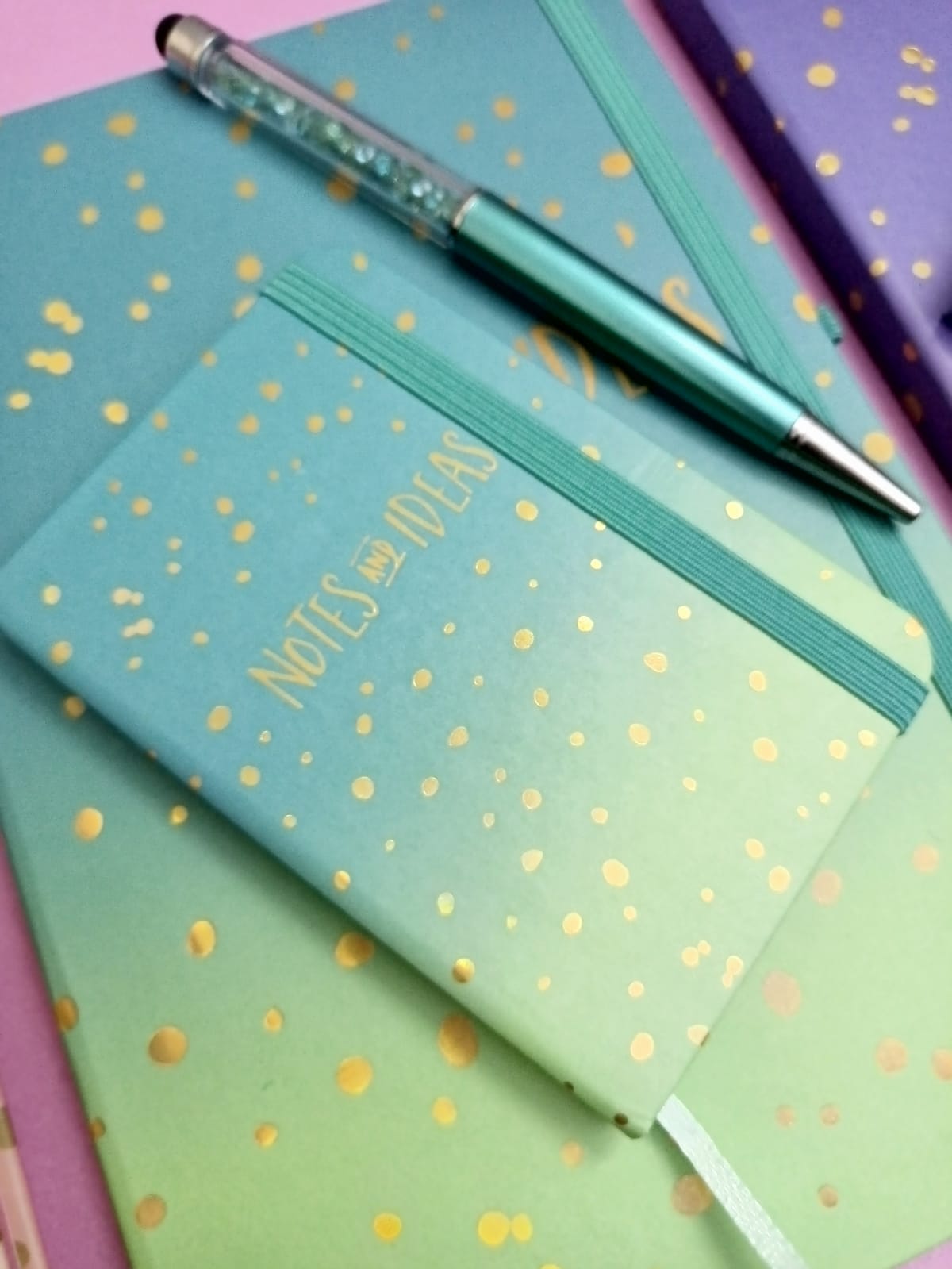 "Notes and Ideas" Diary Bundles (2 diaries 1 pen)