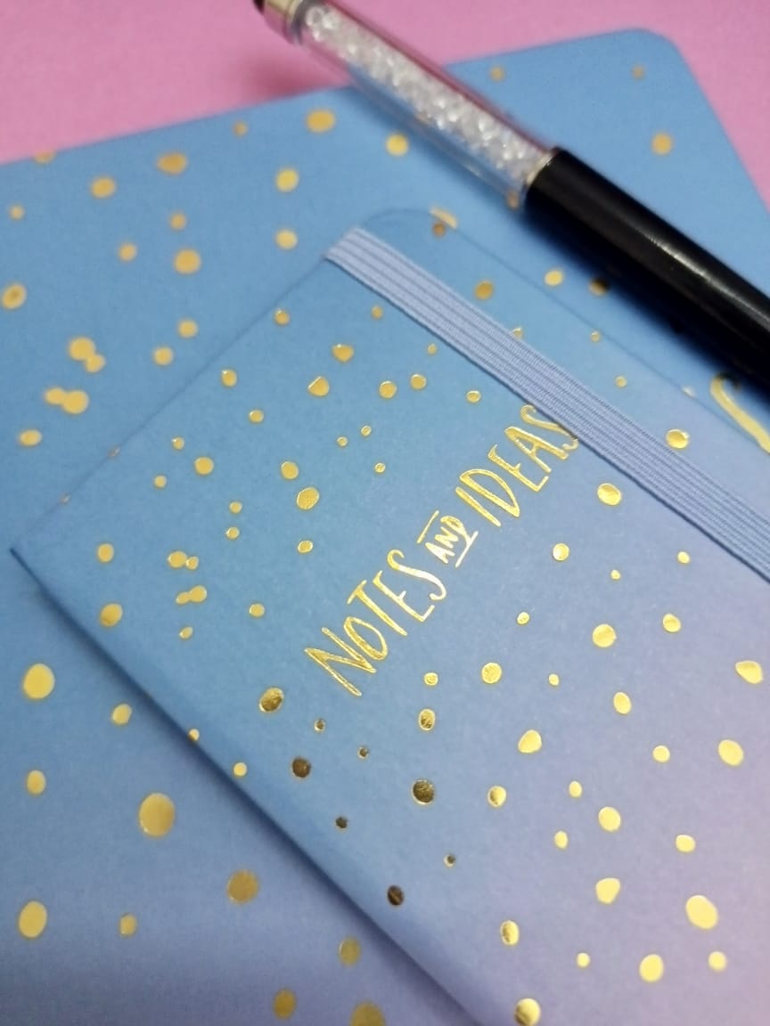 "Notes and Ideas" Diary Bundles (2 diaries 1 pen)