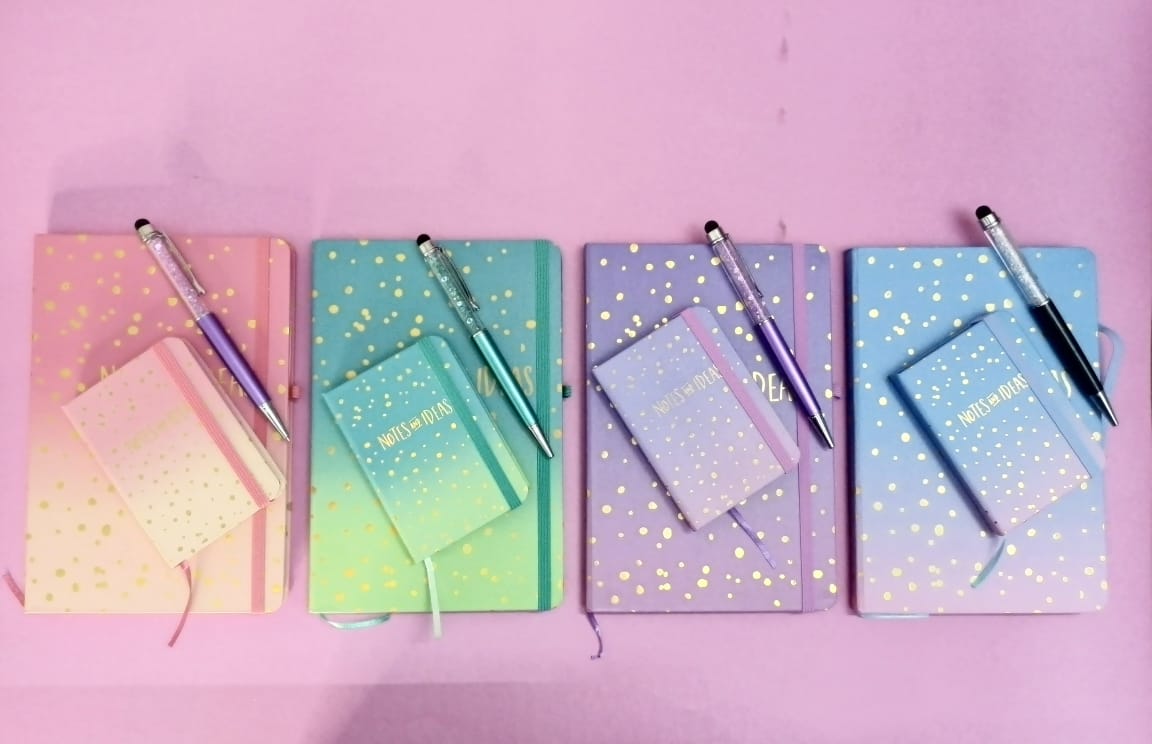 "Notes and Ideas" Diary Bundles (2 diaries 1 pen)