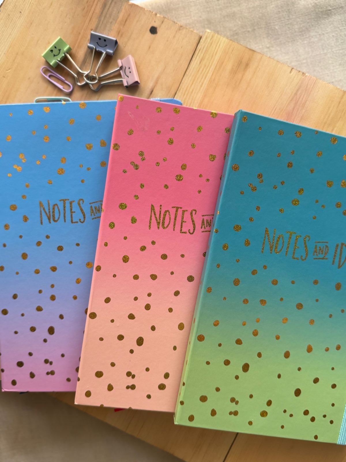 "Notes and Ideas" Diary Bundles (2 diaries 1 pen)